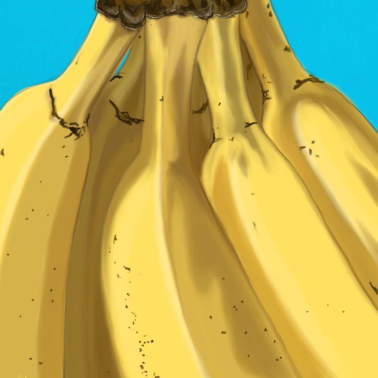 Image of Banana Bunch