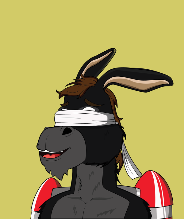 Image of Donkey 37