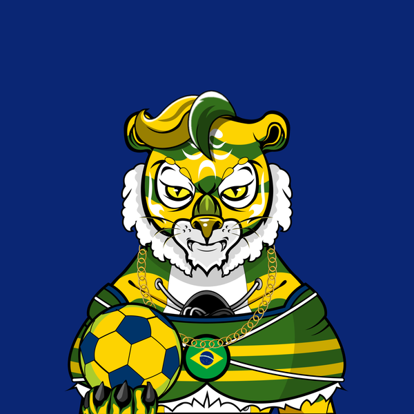 Image of Football TigerChi #0041