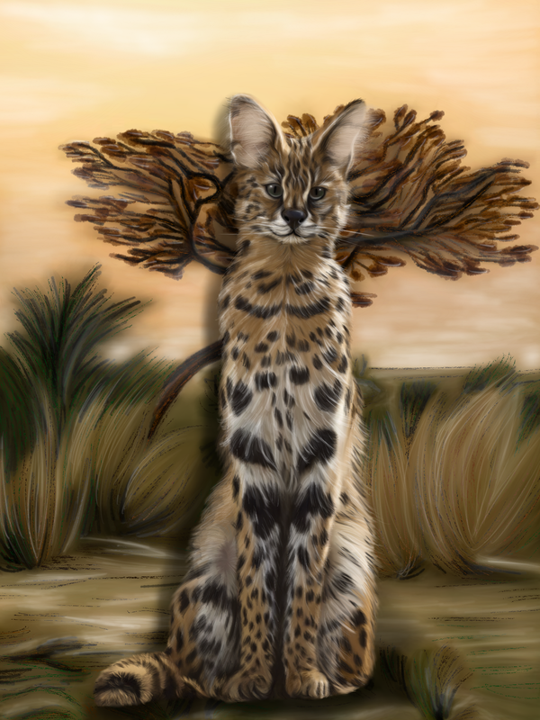 Image of Serval