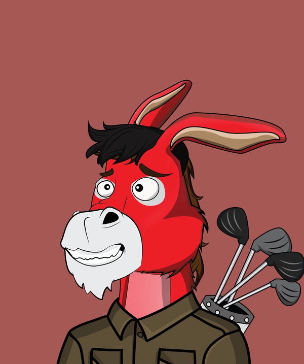 An image of Donkey 5