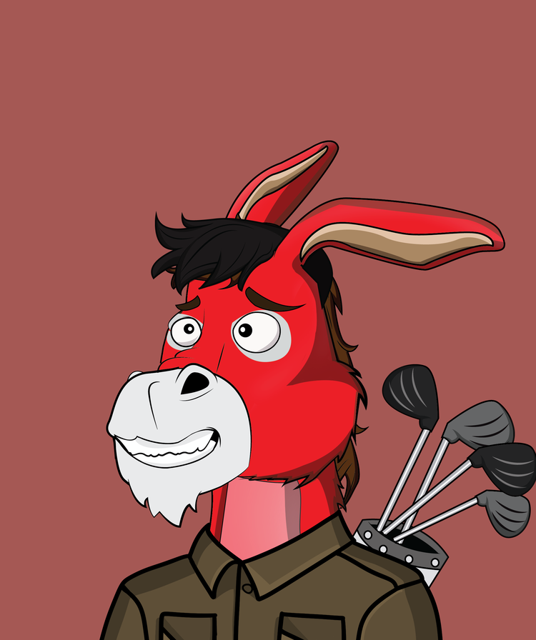 Image of Donkey 5