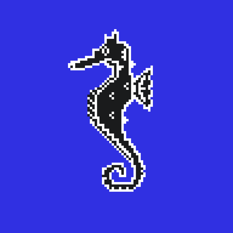 Image of Algo Seahorse #13