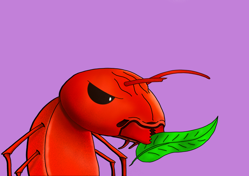 Algo Ants banner