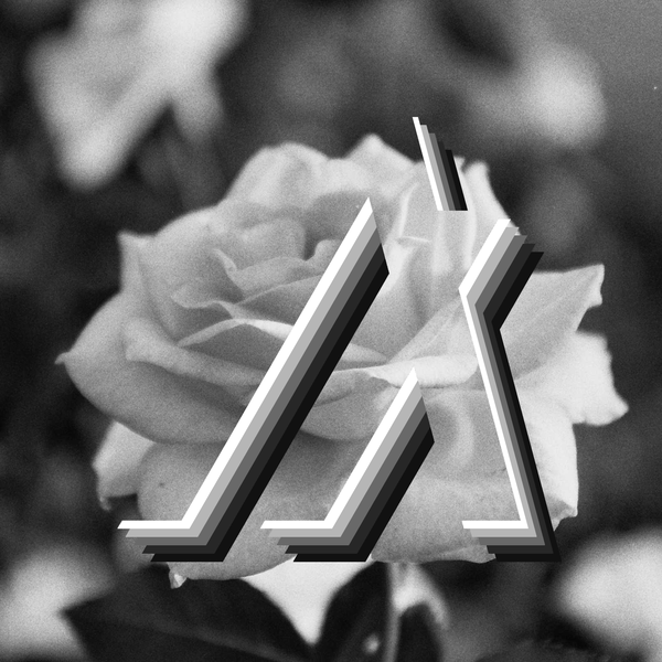 An image of Bloom B&W (Logo)