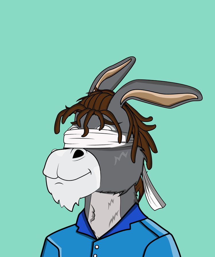 Image of Donkey 33