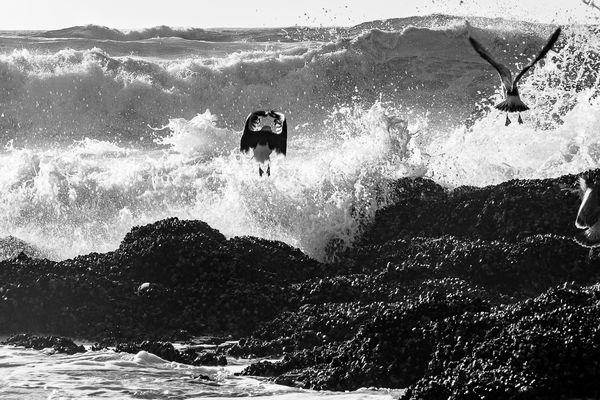 An image of BW Coast - Takeoff