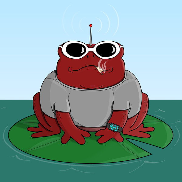 Image of Big Toad 27