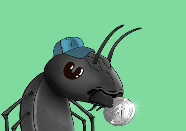 Image of Algo Ant 397