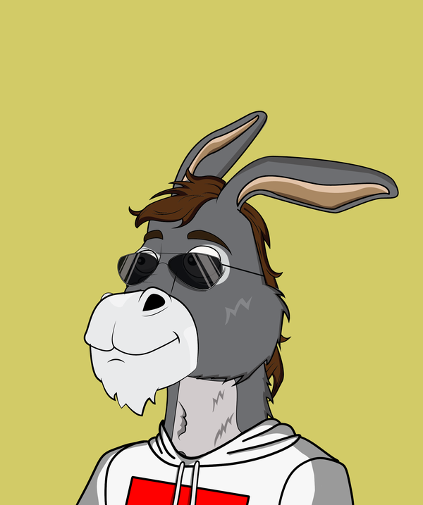 An image of Donkey 4