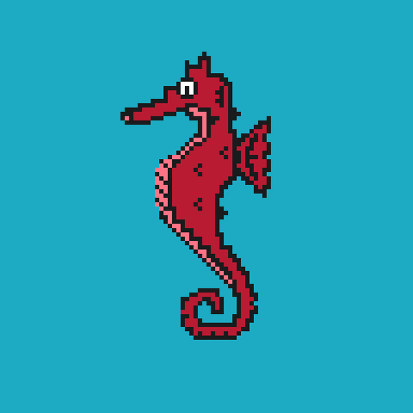 An image of Algo Seahorse #1