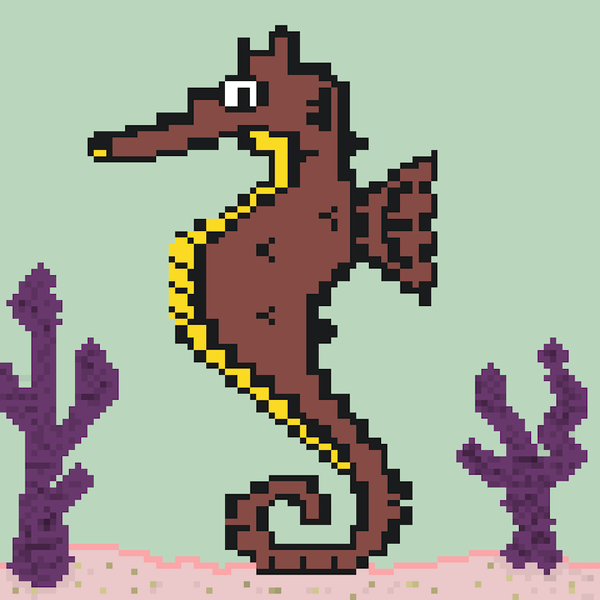 Image of Algo Seahorse #49