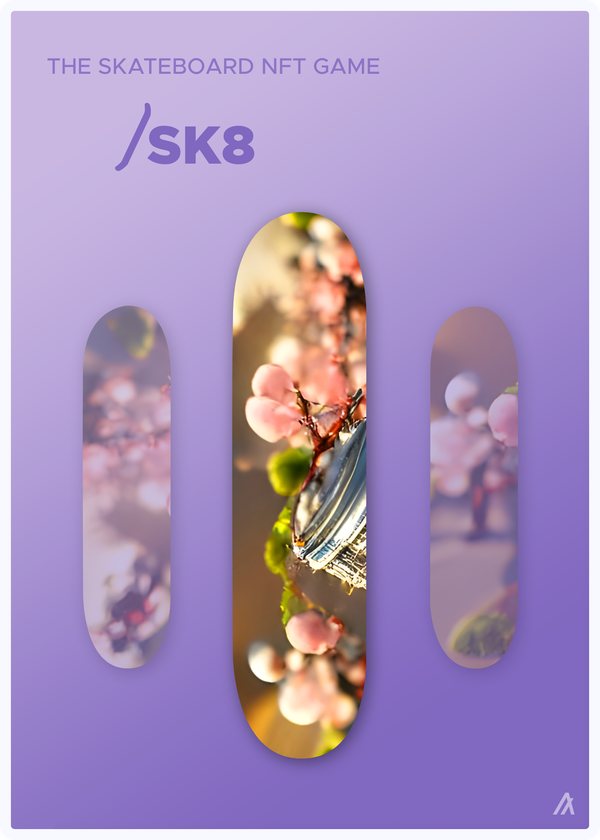 Image of SK8 Deck #023