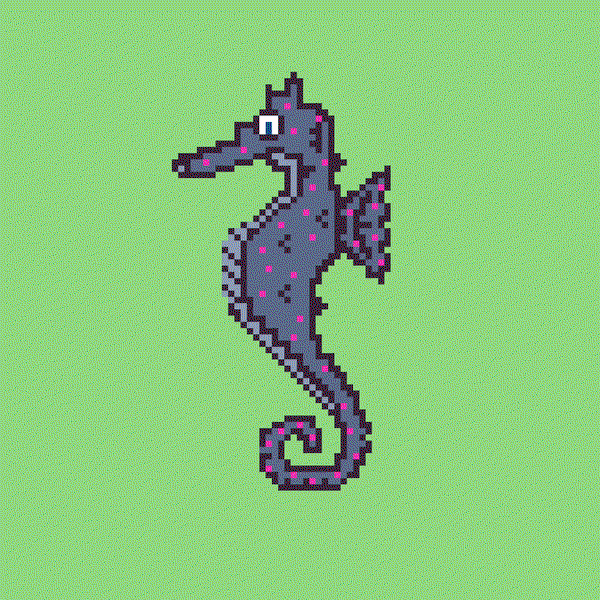 Image of Algo Seahorse #32