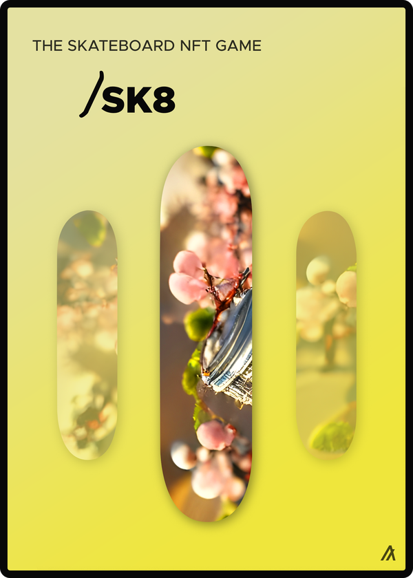 Image of SK8 Deck #020