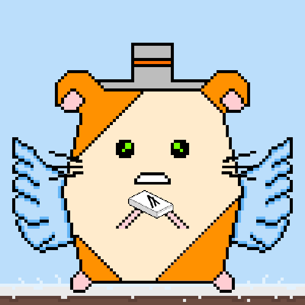 Image of #37 Algo Hamster