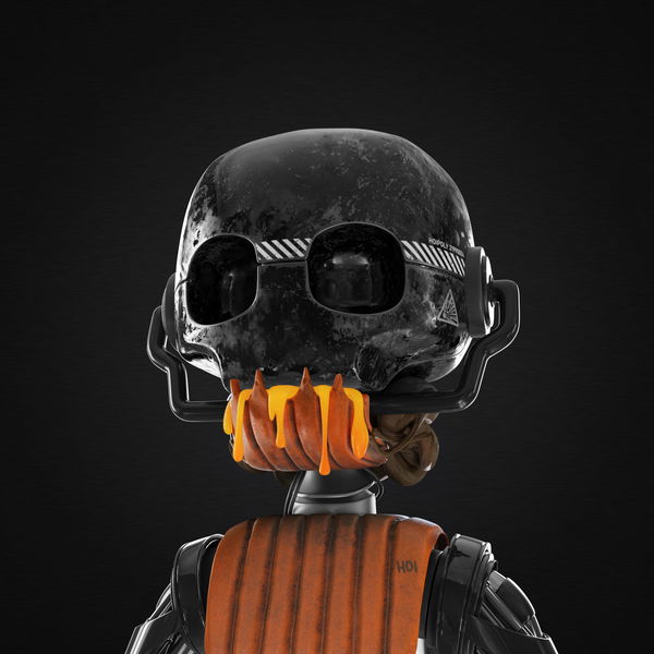 Image of #52 Pumpkin Body