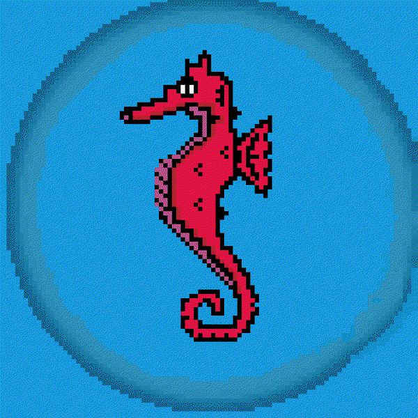 Image of Algo Seahorse #24