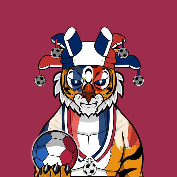 Image of Football TigerChi #0042