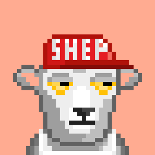 An image of Shep #4