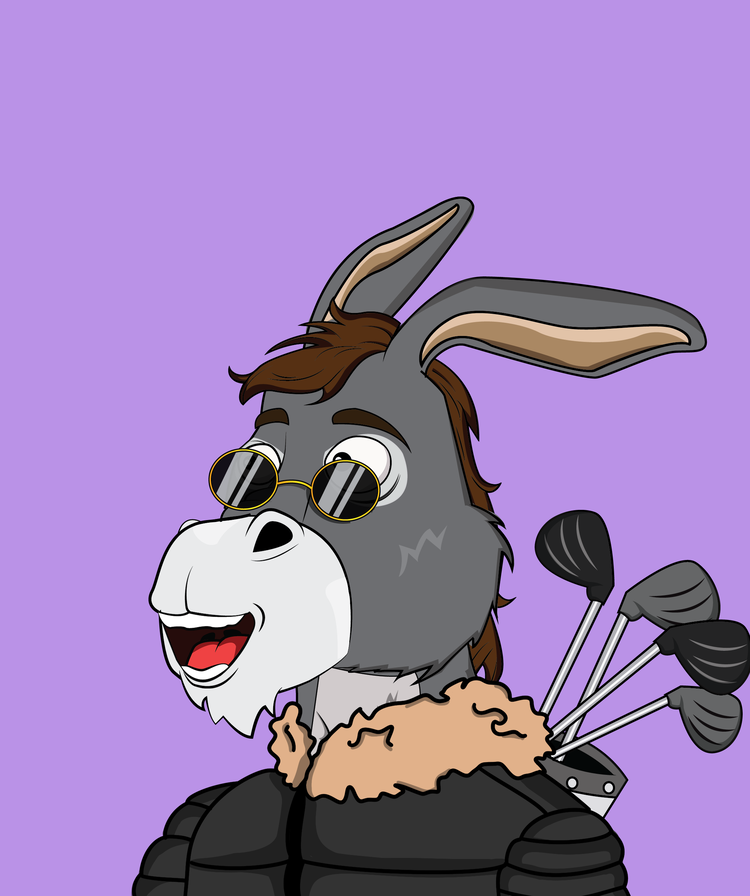 Image of Donkey 53