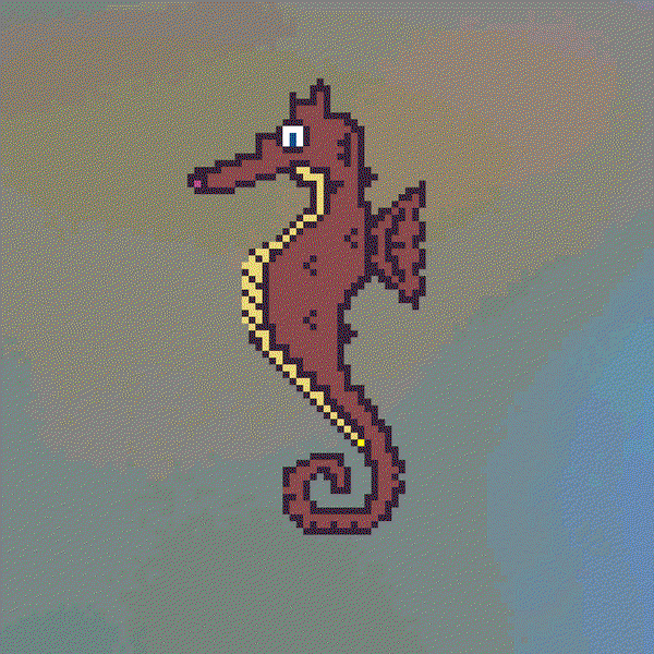 Image of Algo Seahorse #33