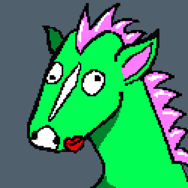 Image of STUPIDHORSE 045