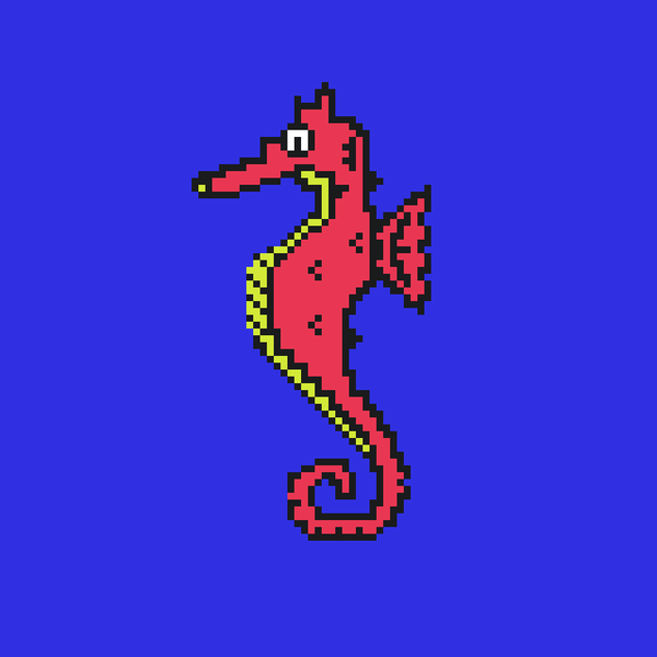 Image of Algo Seahorse #20