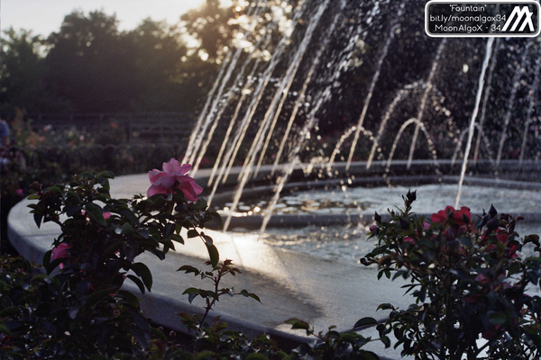 Image of Fountain