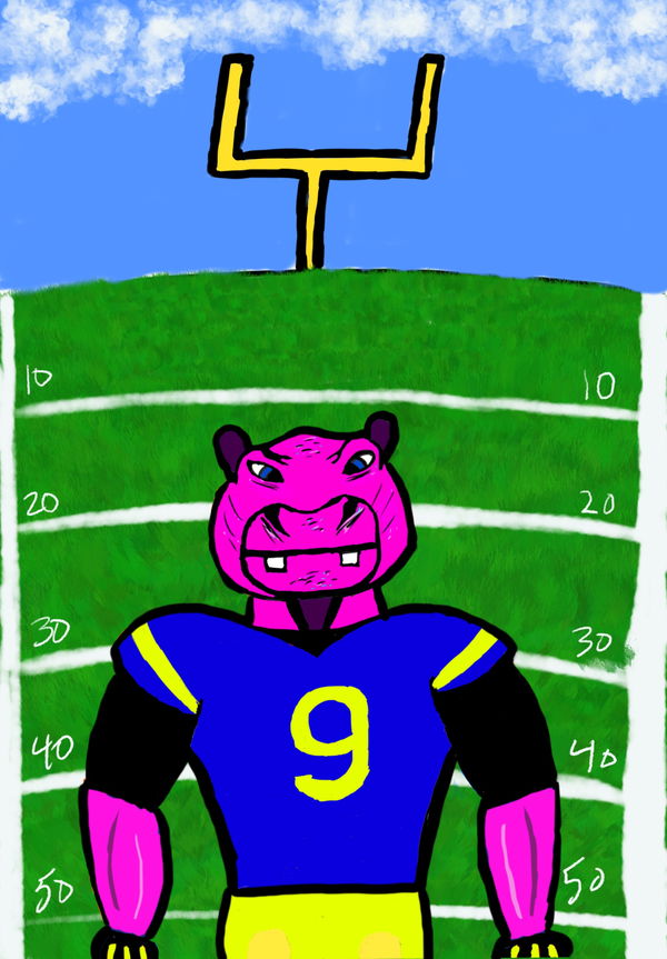 An image of Algo Super Bowl Hippo #2