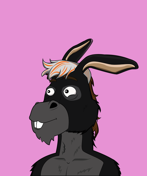 An image of Donkey 8