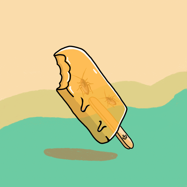 Image of Popsicle Cockroach