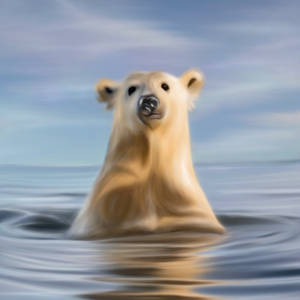 Image of Polar Bear