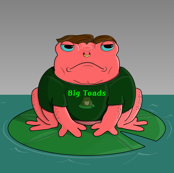 Image of Big Toad 46