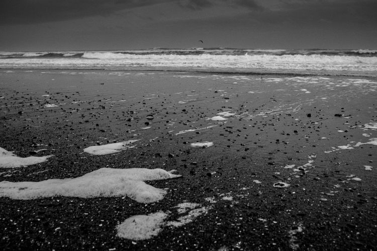 Image of BW Coast - Low Tide