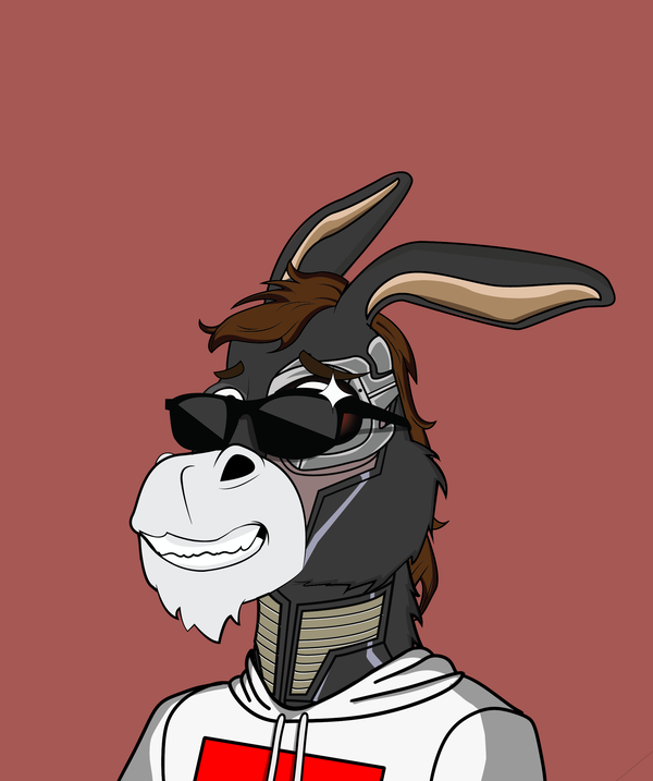 Image of Donkey 35