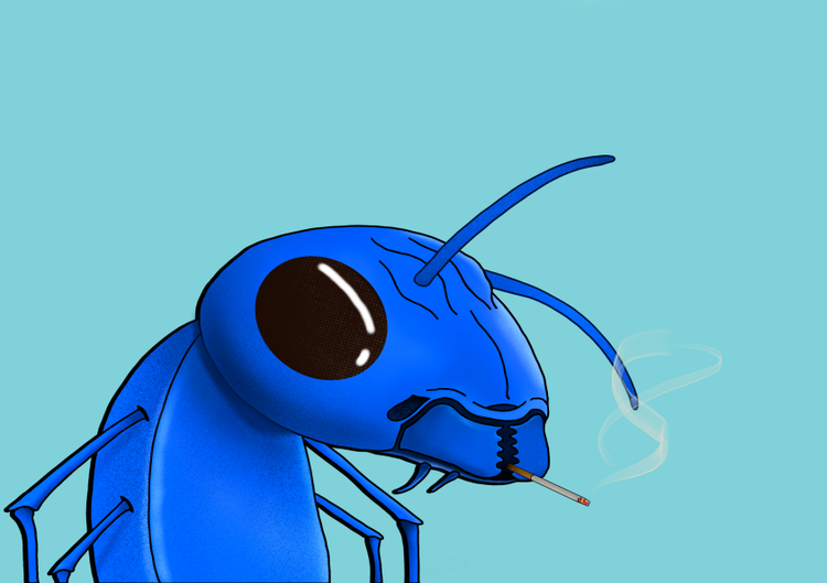 Image of Algo Ant 327