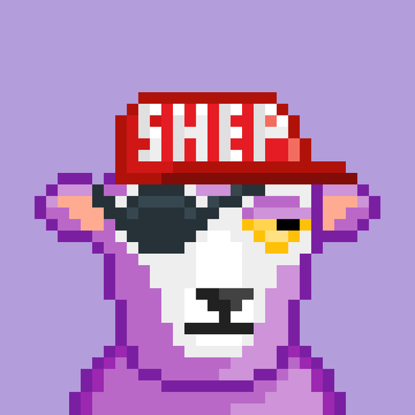 An image of Shep #10