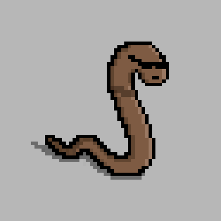 Image of WORM #6