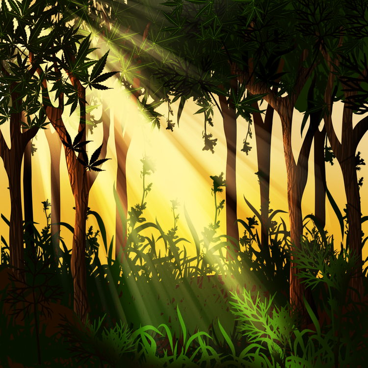 Image of Forest BG