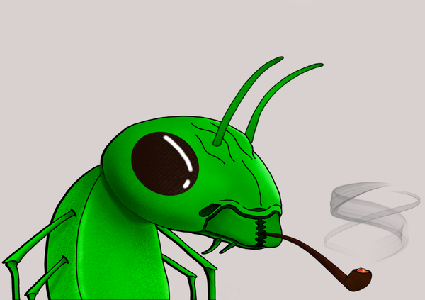 An image of Algo Ant 90