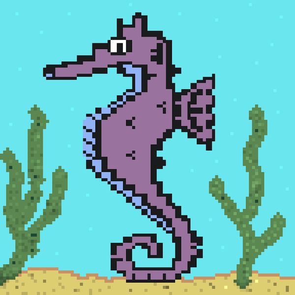 Image of Algo Seahorse #47