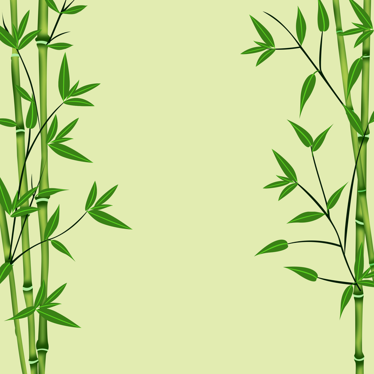 Image of Bamboo BG