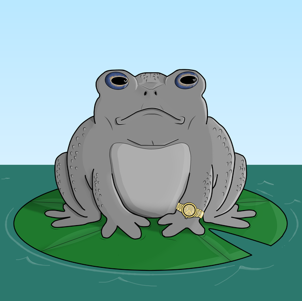 An image of Big Toad 20