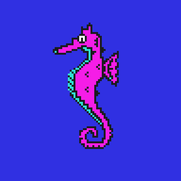 Image of Algo Seahorse #16