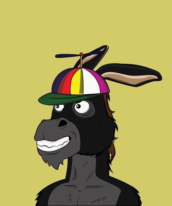 Image of Donkey 42