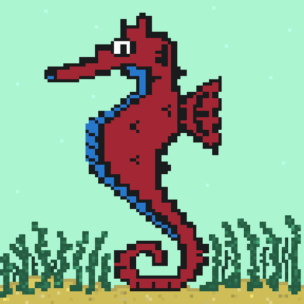 Image of Algo Seahorse #45