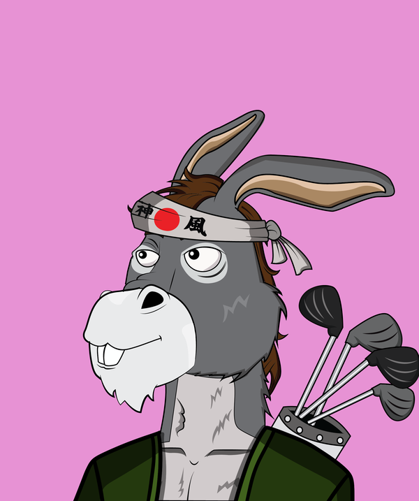 Image of Donkey 41