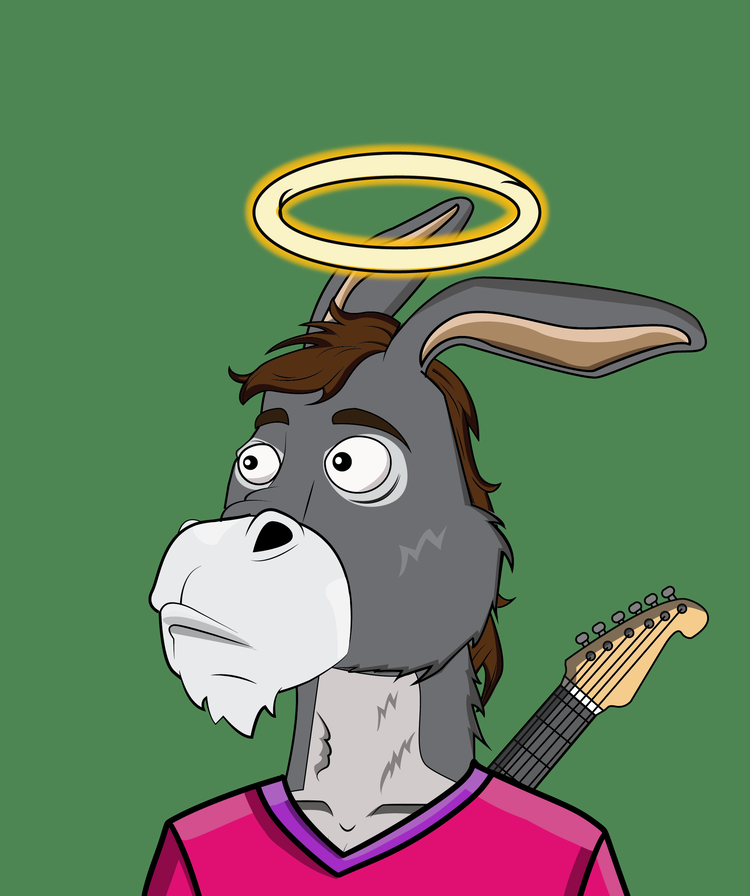 Image of Donkey 13