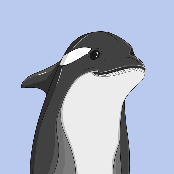 Image of ORCA 1